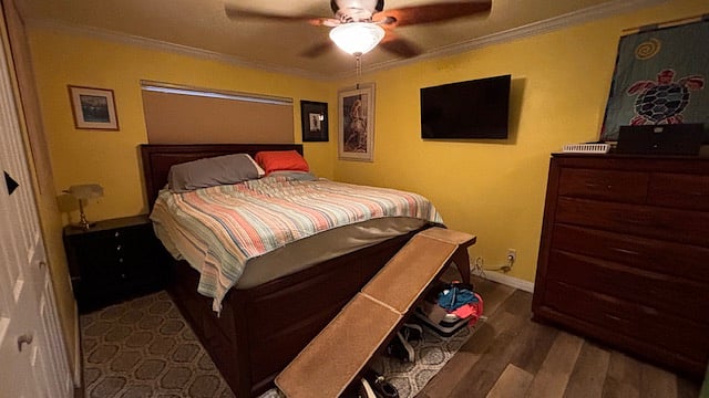 Furnished Finder property 912093_1 photo 16