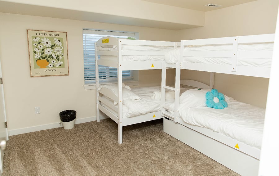 Downstairs bedroom