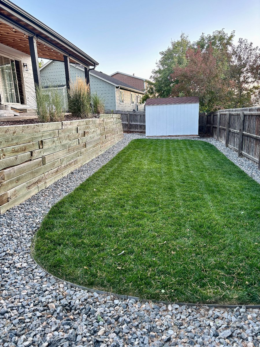 Backyard.