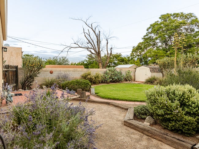 Backyard