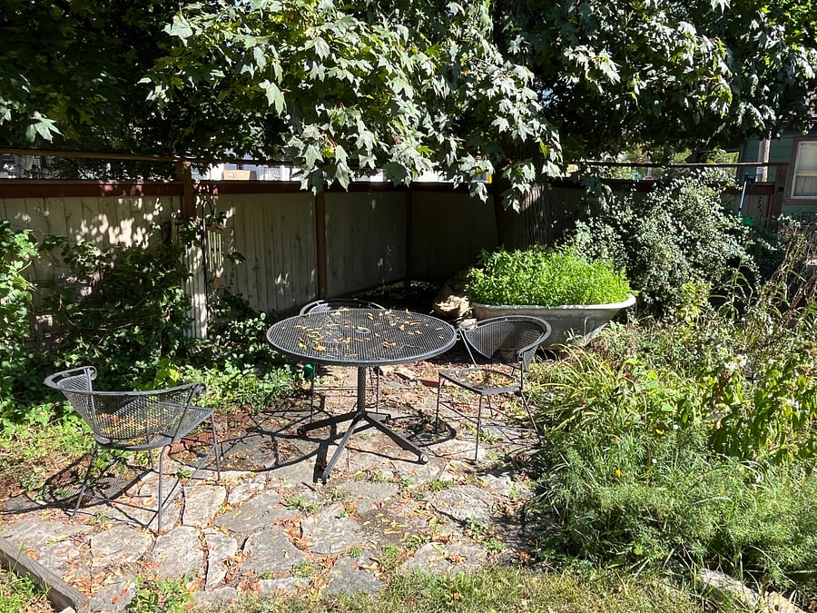 Outdoor dining under the massive, shady Maple tree