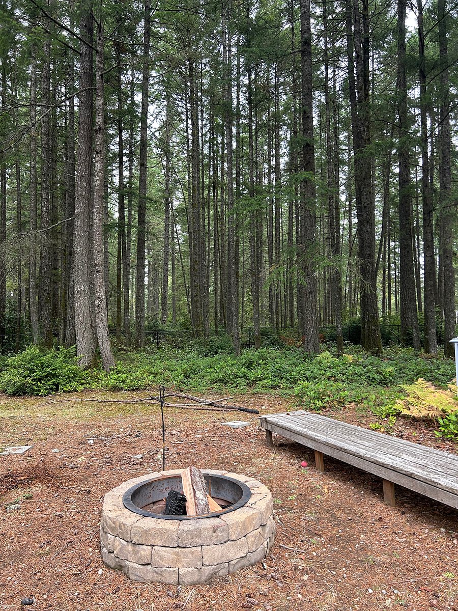 backyard firepit - yard is shared space with homeowners