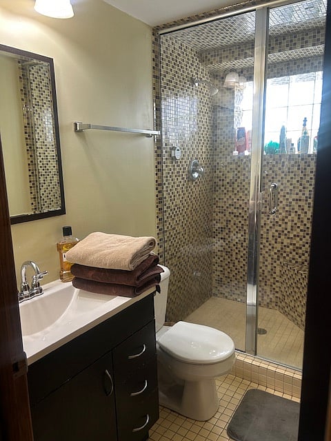 Downstairs bathroom with steam shower.