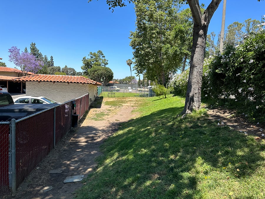 Dog Park