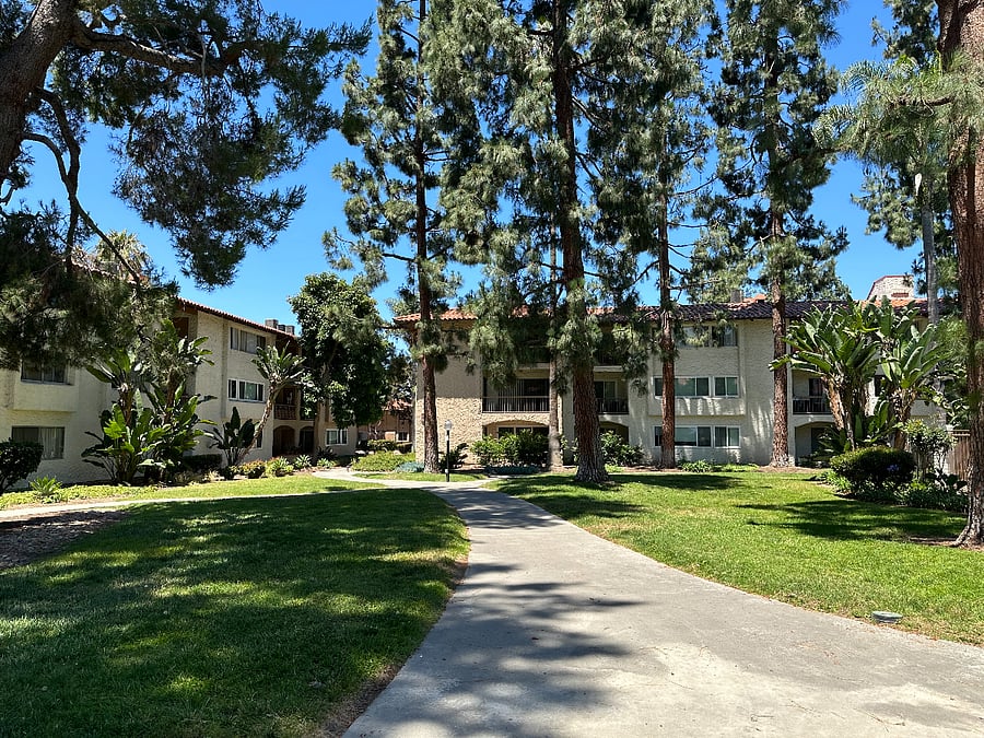 Lucious grounds