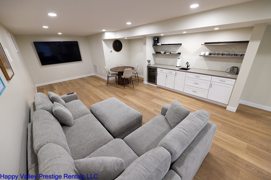 Downstairs Bar/Rec Room
