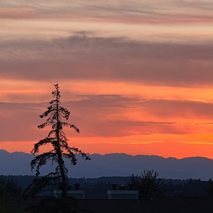 Olympic Mountain View from back patio