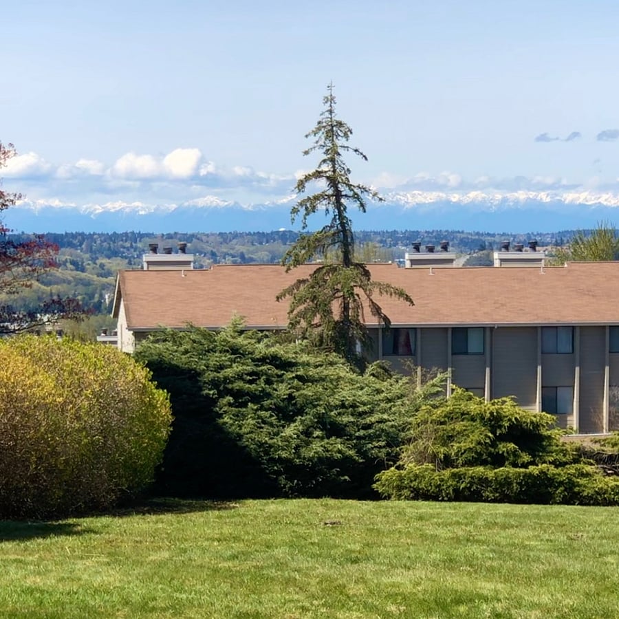 Summer View - Olympic Mountains