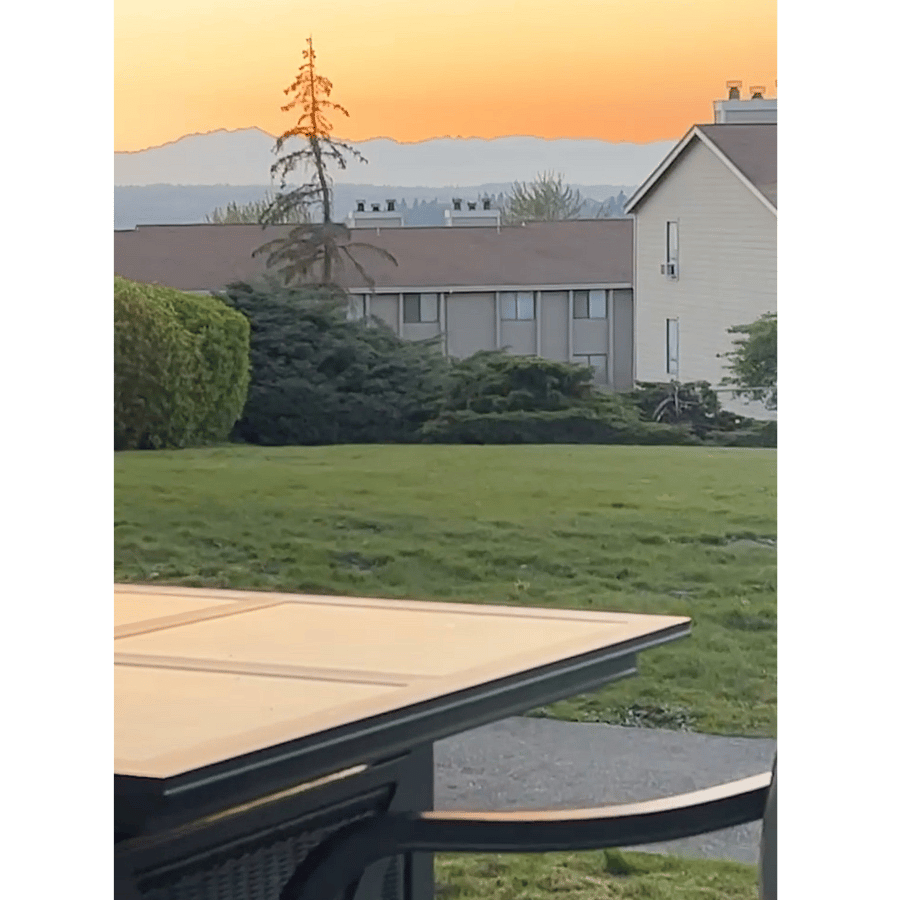 Patio View