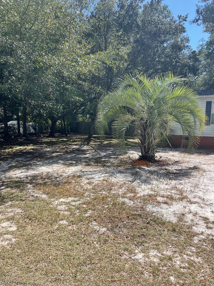 Furnished Finder property 913052_1 photo 20