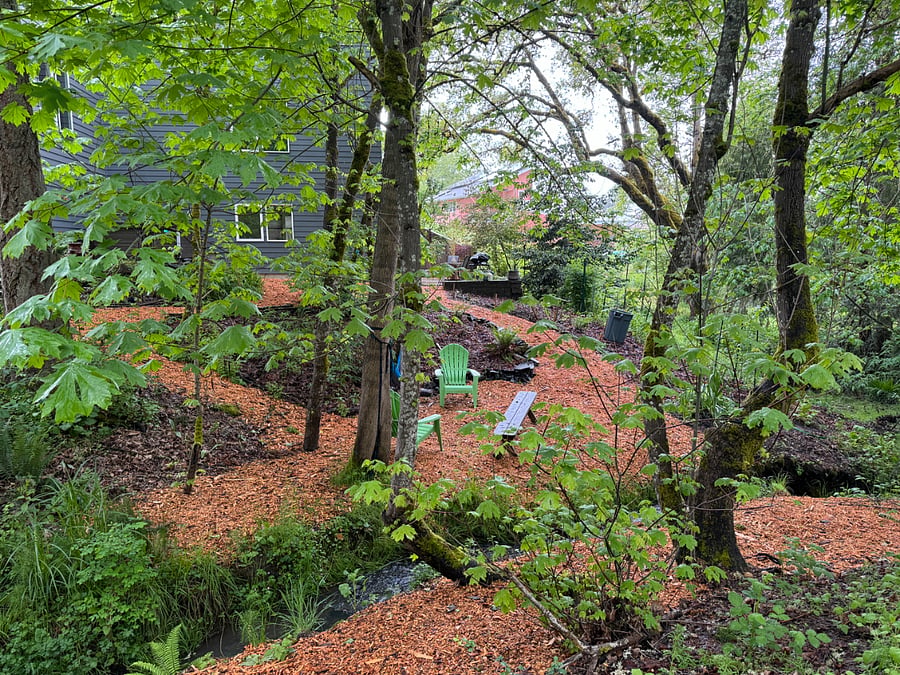 View looking towards the house from the other side of the stream.