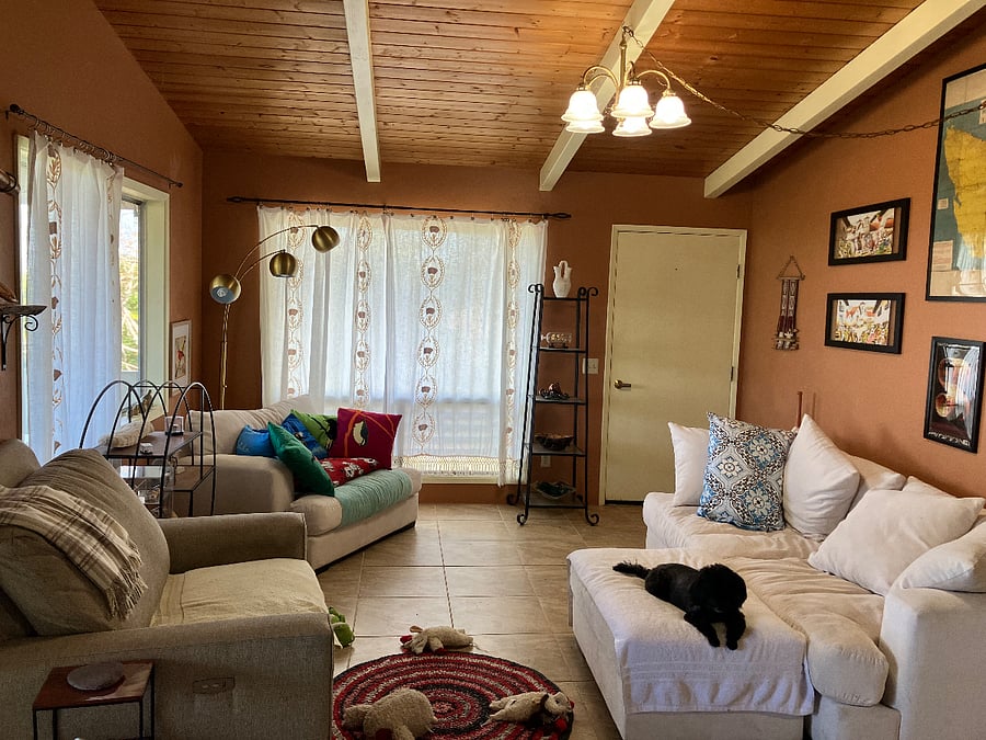 Living Room is also a shared space.  Little "Beard" is chilling on the ottoman.