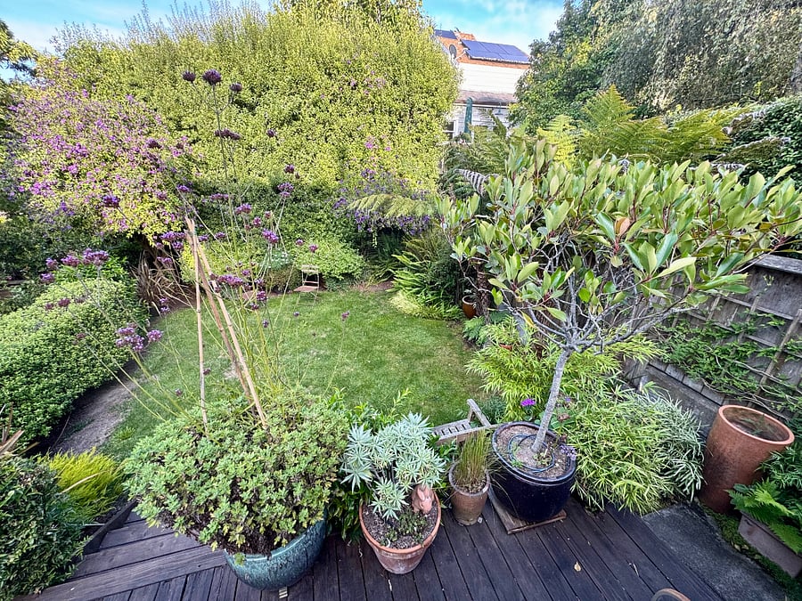 View from the Deck