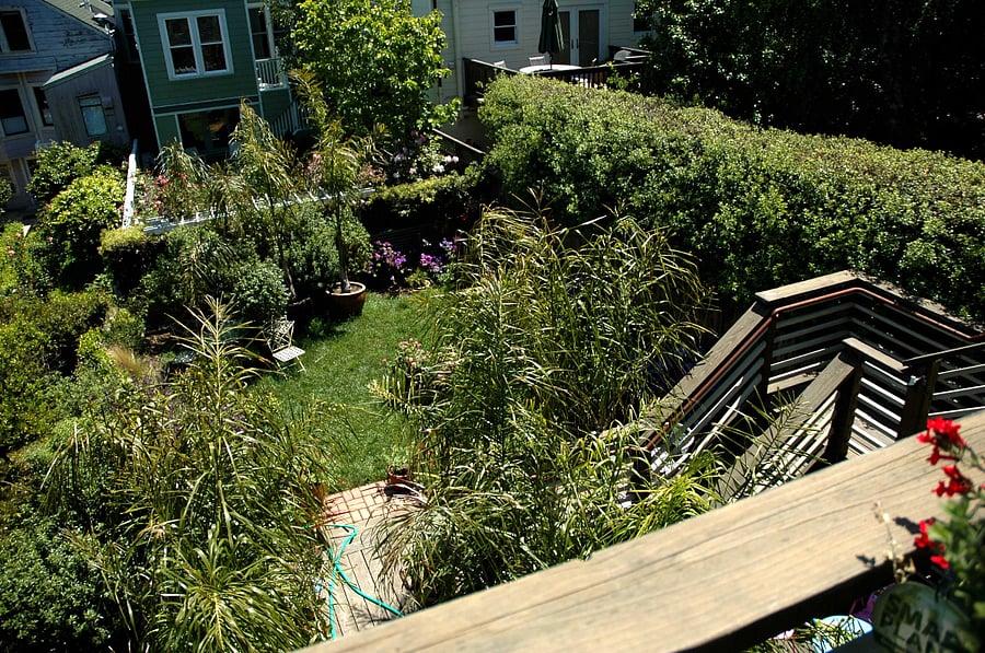 View from the Deck