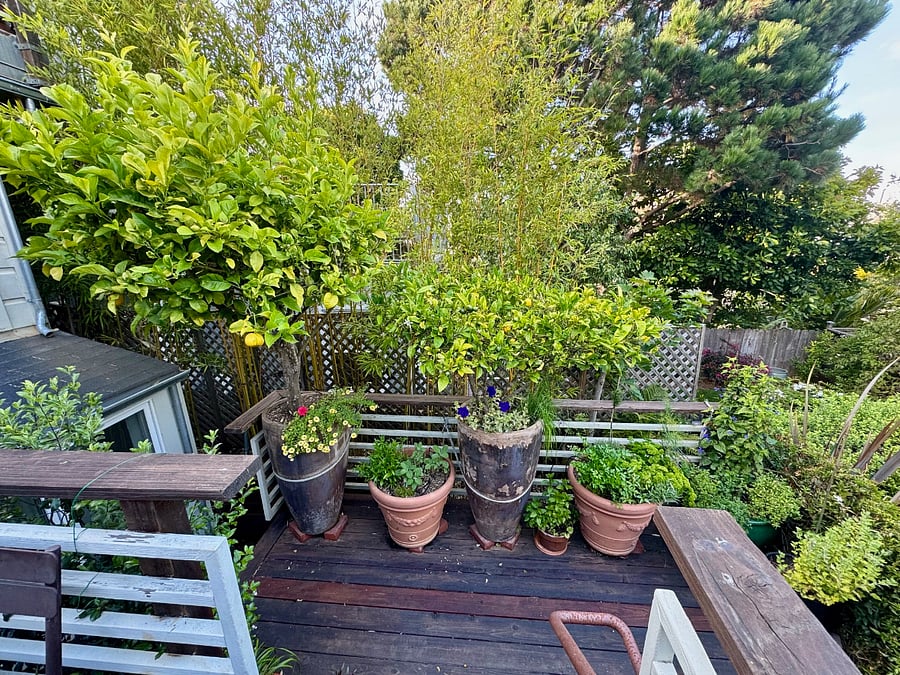 Deck