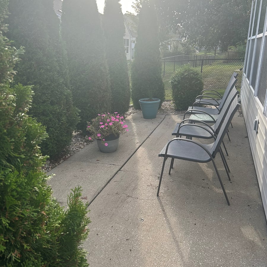 Back patio