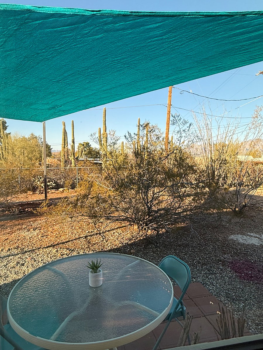 Natural dessert landscaping. 