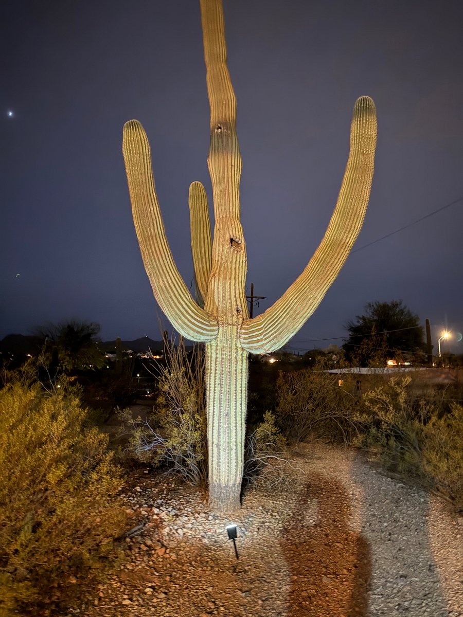 Evenings are magical in the desert!