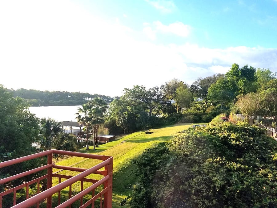 View from guest bedroom 2/office