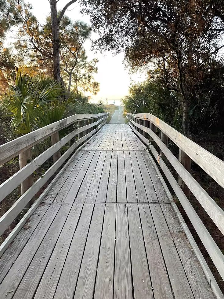 Furnished Finder property 914088_1 photo 11