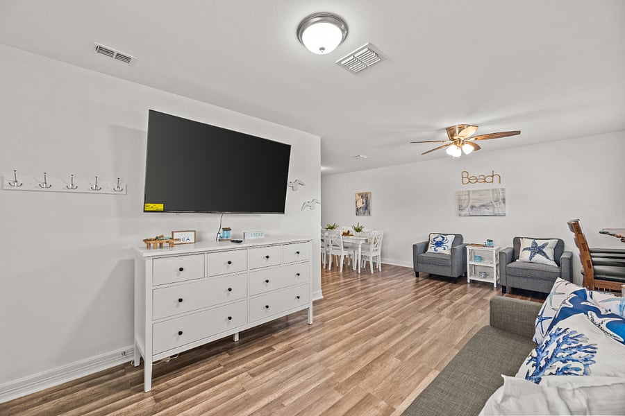 pull out sleeper sofa and tv