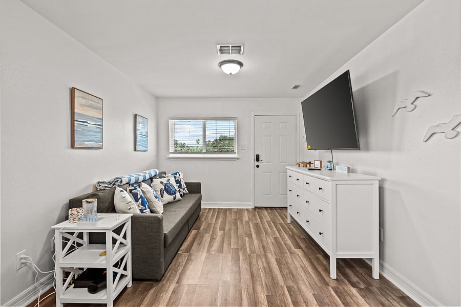 pull out sofa and tv