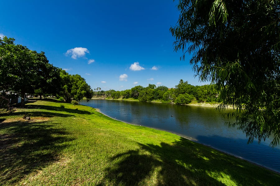 duck pond