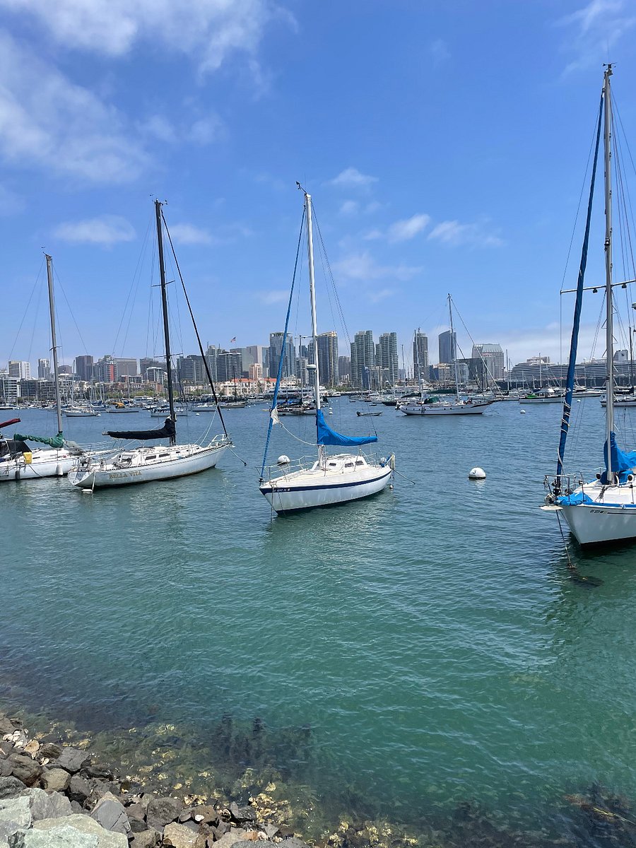 The Bay
