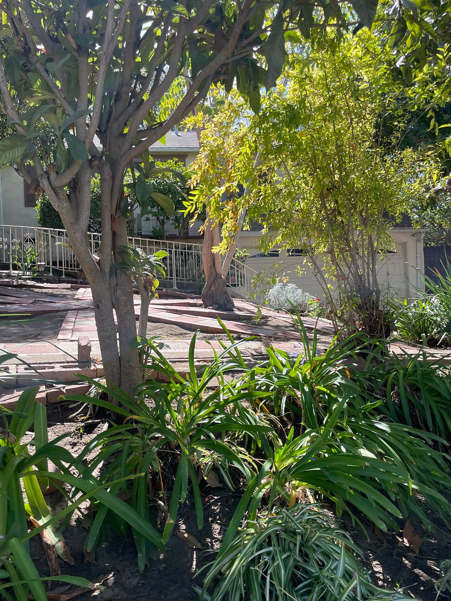 Furnished Finder property 914358_1 photo 9