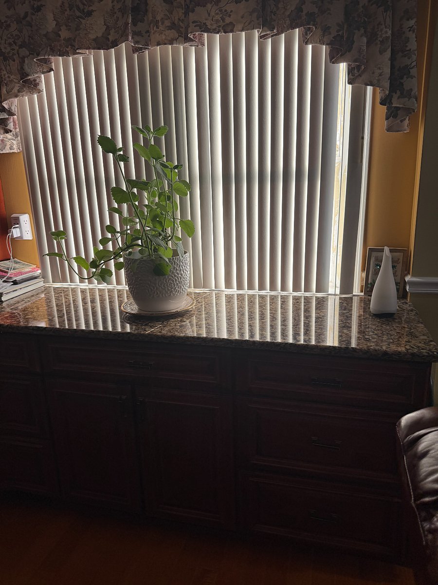 Furnished Finder property 914390_1 photo 7