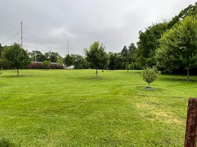 Open grassy area across the street
