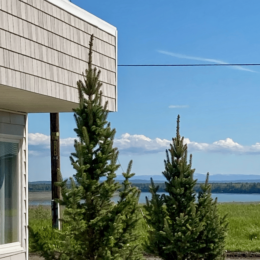 View of the Mouth of the Kenai River/Cook Inlet.