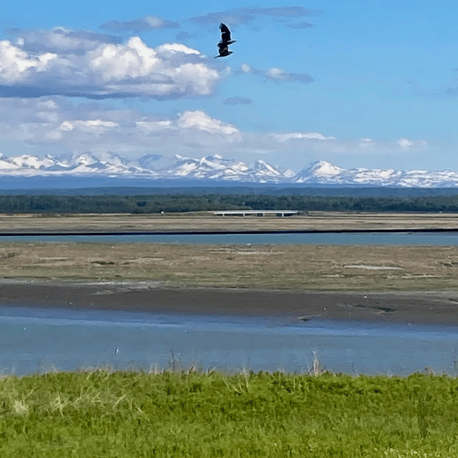 View of the Mouth of the Kenai River/Cook Inlet.