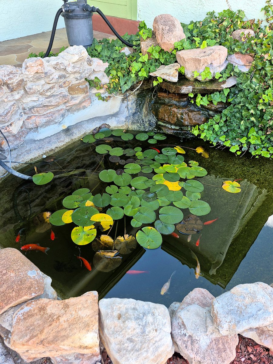 Enjoy the tranquil koy pond in a privately fenced backyard.