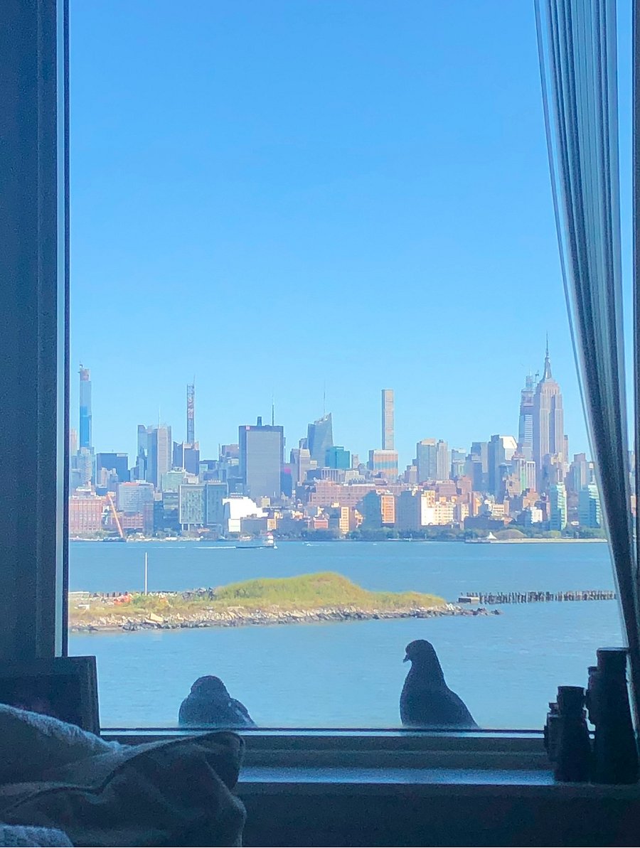 Waterfront view from condo 