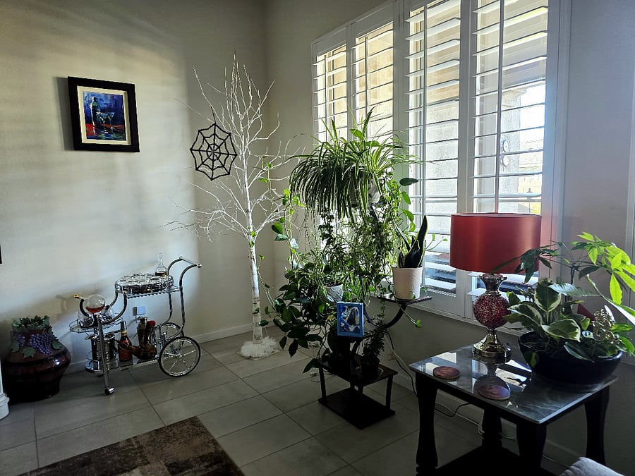 Furnished Finder property 914808_1 photo 18