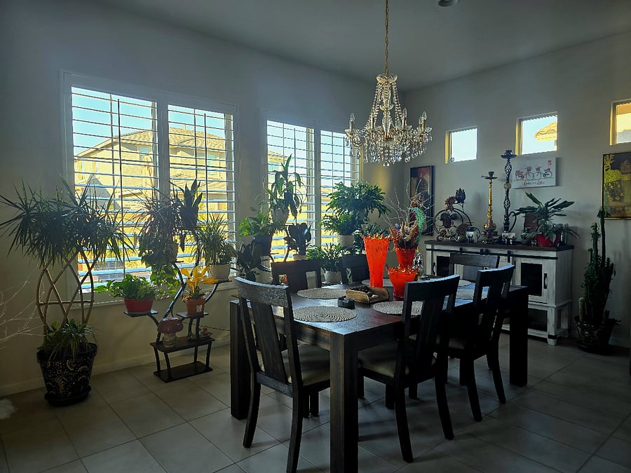 Furnished Finder property 914808_1 photo 20