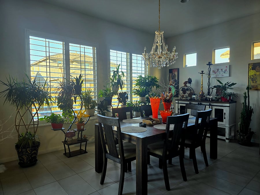 Furnished Finder property 914808_2 photo 23