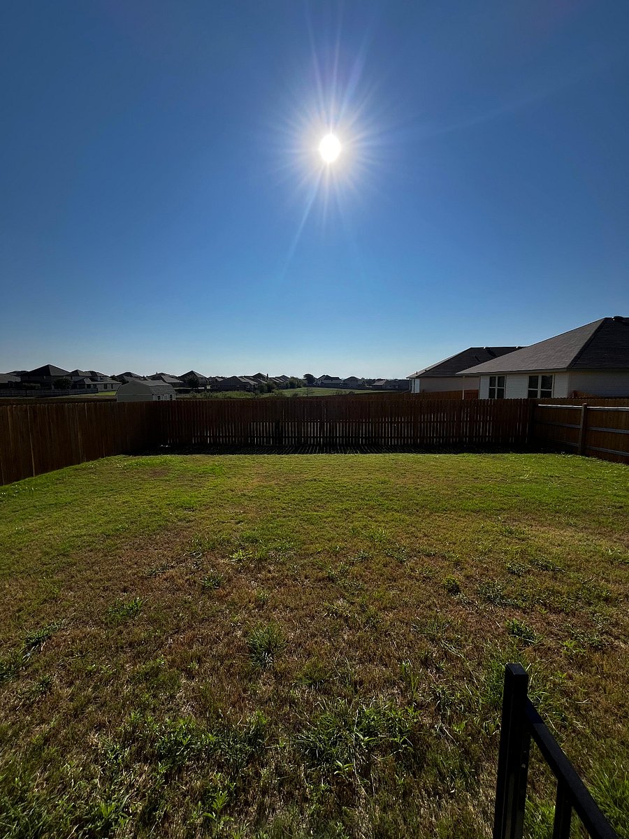 Fenced in backyard - perfect for pets or kids