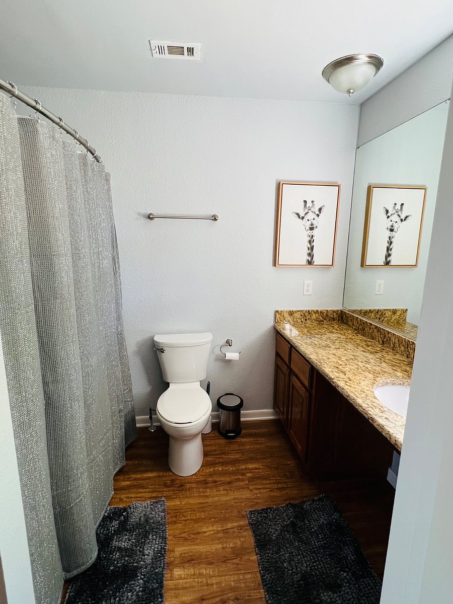 Furnished Finder property 915261_1 photo 12