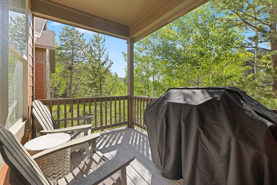 Back porch with grill