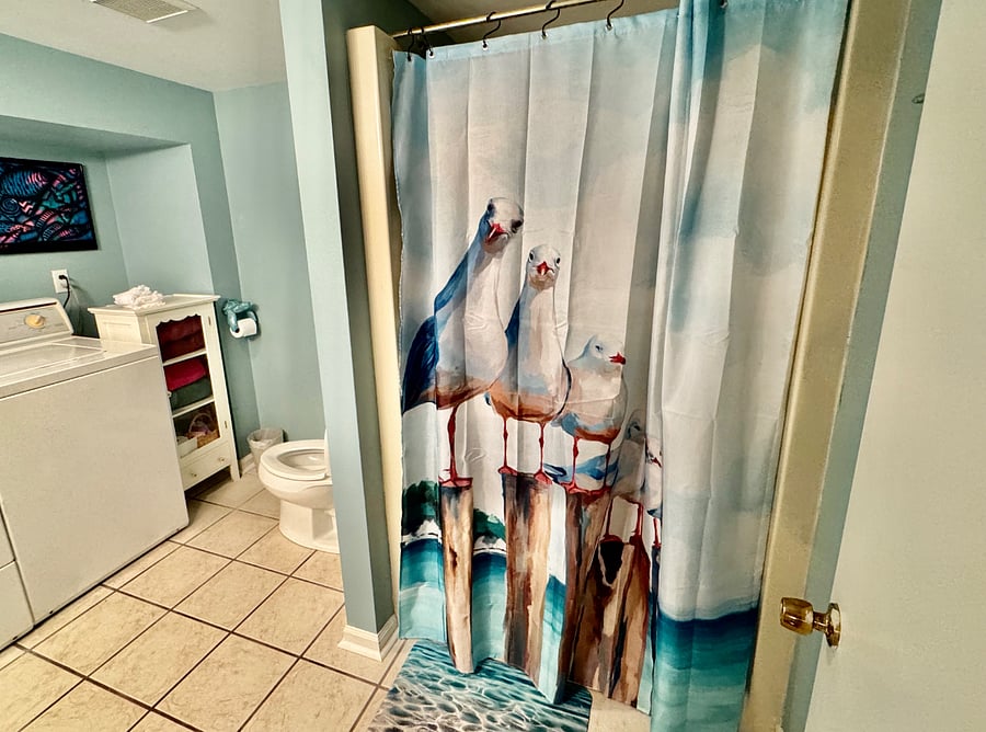 Walk-in shower, washer/dryer