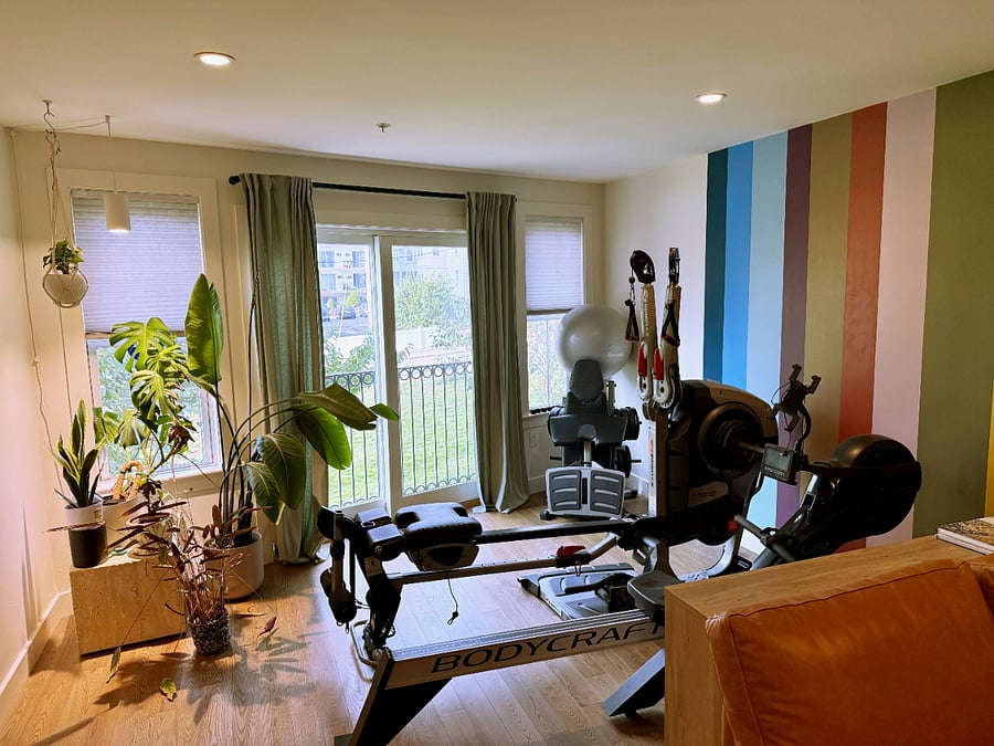Gym area with multi-functional cable machine, heavy duty rowing machine + assorted additional equipment.  Plus, a plant corner with a grow light.  The balcony is a juliet balcony. 