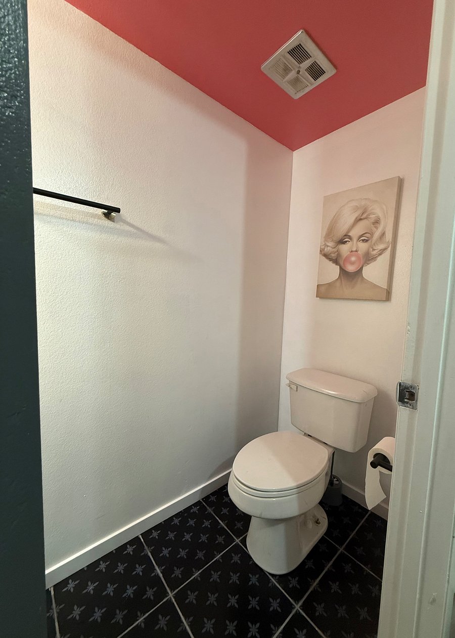 Downstairs 1/2 bathroom 