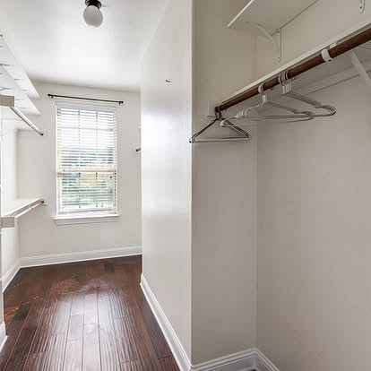 Primary walk-in closet