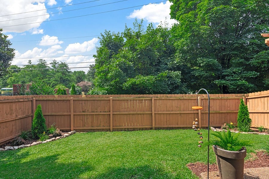 Shared Backyard