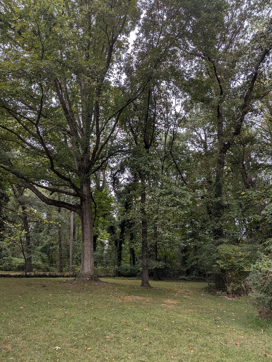 Backyard- This oasis will help you forget about all of your worries while you listen to the birds chirping and watch the deer frolic by.