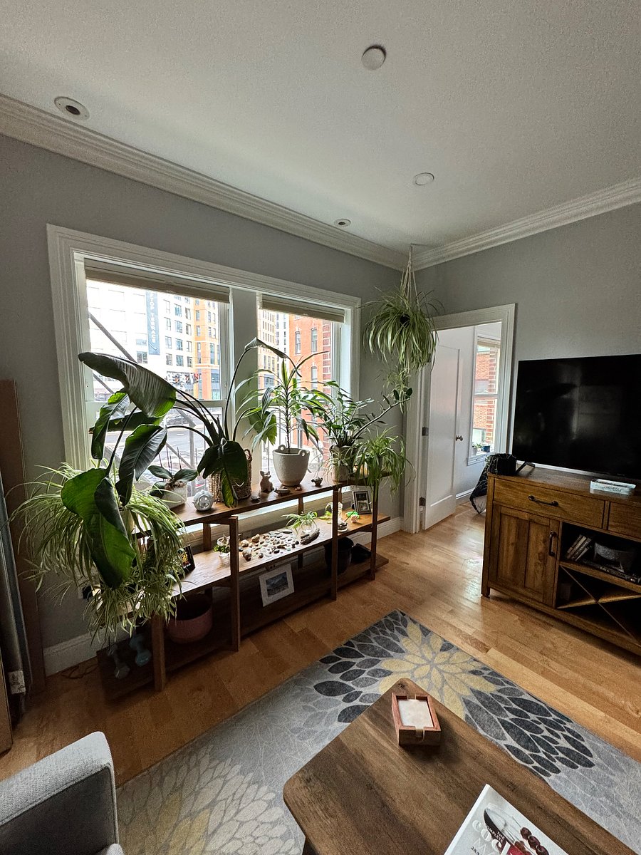 Furnished Finder property 915923_1 photo 12