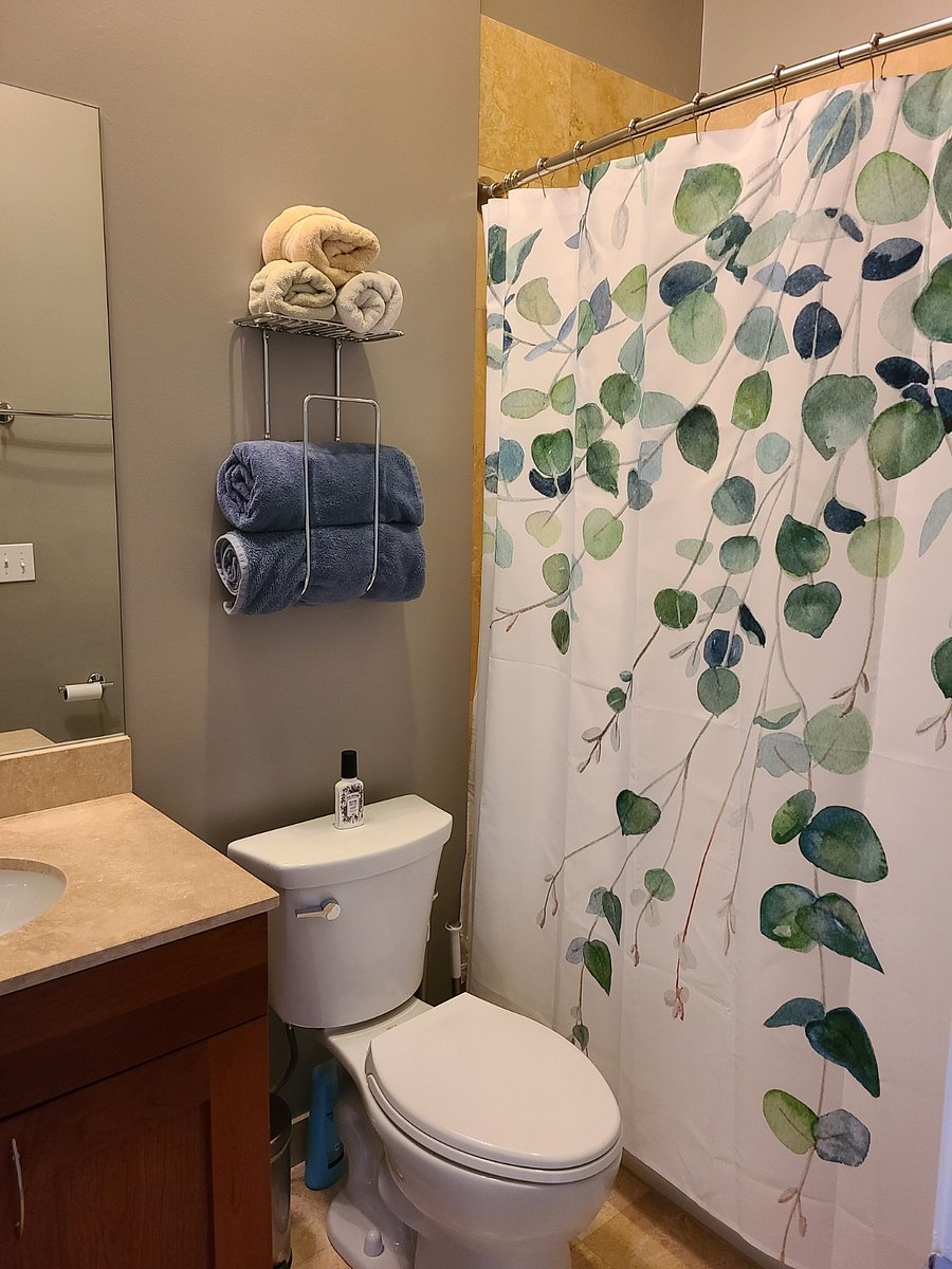 Guest Bath