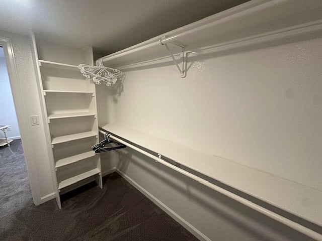 Extra-large walk-in closet.
